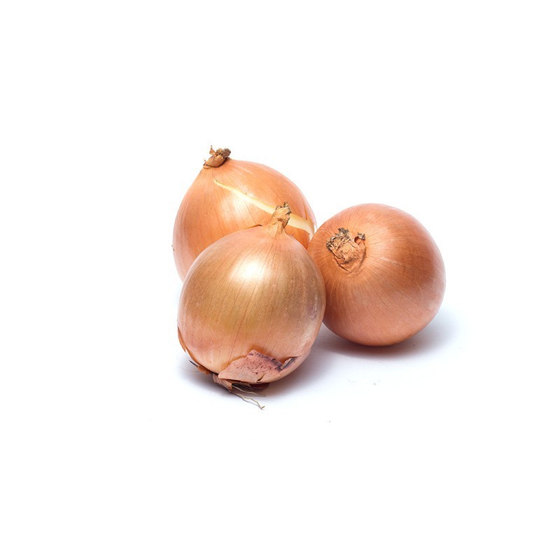 

Bawang Bombay Organik 500g-Jkut