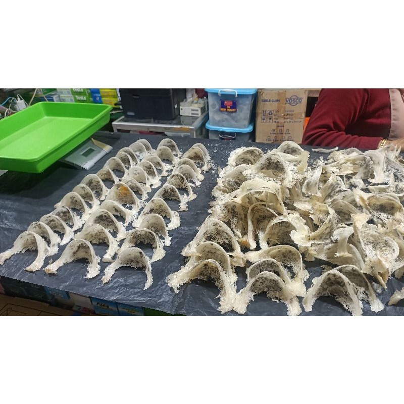 

Sarang Burung Walet 10 gram