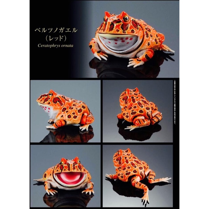 Premium gashapon pacman horned frog kodok dangomushi BANDAI gacha