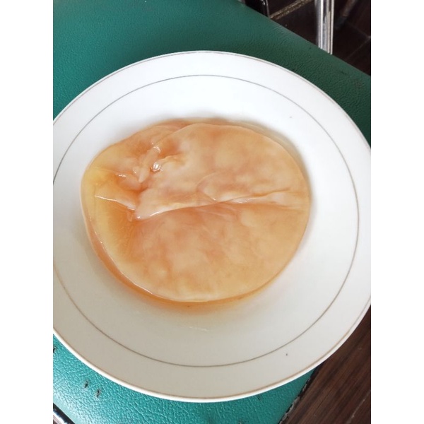 

RK12 scoby besar + starter untuk pembuatan 4-5 liter kombucha.