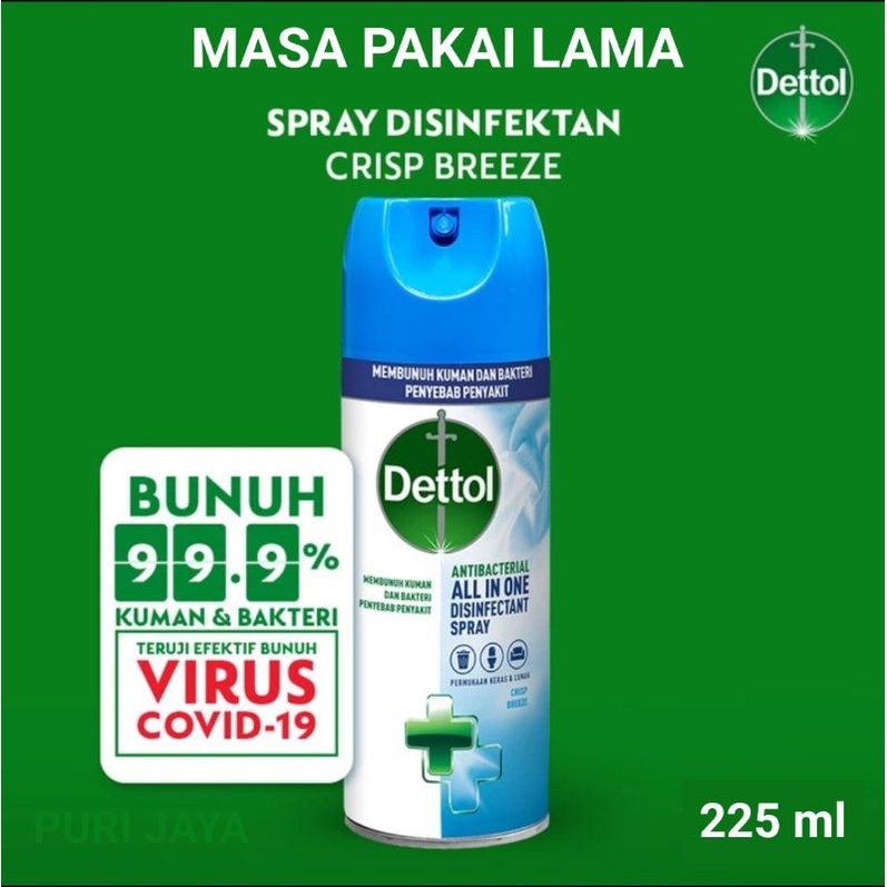 Dettol Disinfektan Spray 225ml Disinfectant Anti-bacterial 225 ml Detol kaleng semprot