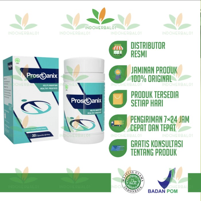 Prostanix asli herbal original obat prostat resmi bpom