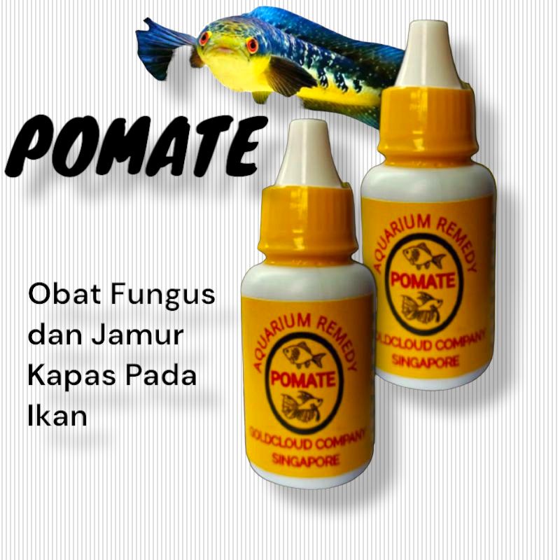 Jual POMATE CAIR Obat ikan hias Obat whitespot,finrot,anti stress