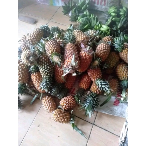 Nanas sribandung ogan ilir