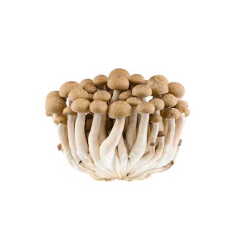 

Brown Shimeji Mushroom / Shimeji Cokelat 150 gr