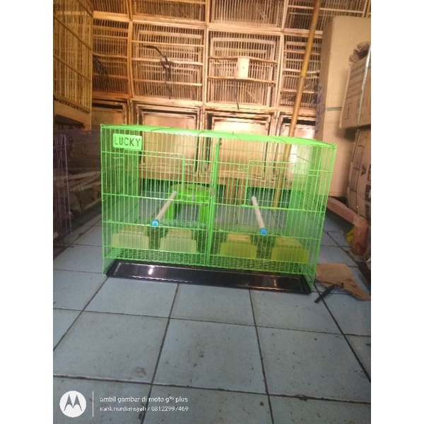 kandang ternak burung / anakan ayam /marmut / anakan kelinci / ayam kate model sekat ukuran 60x40 me