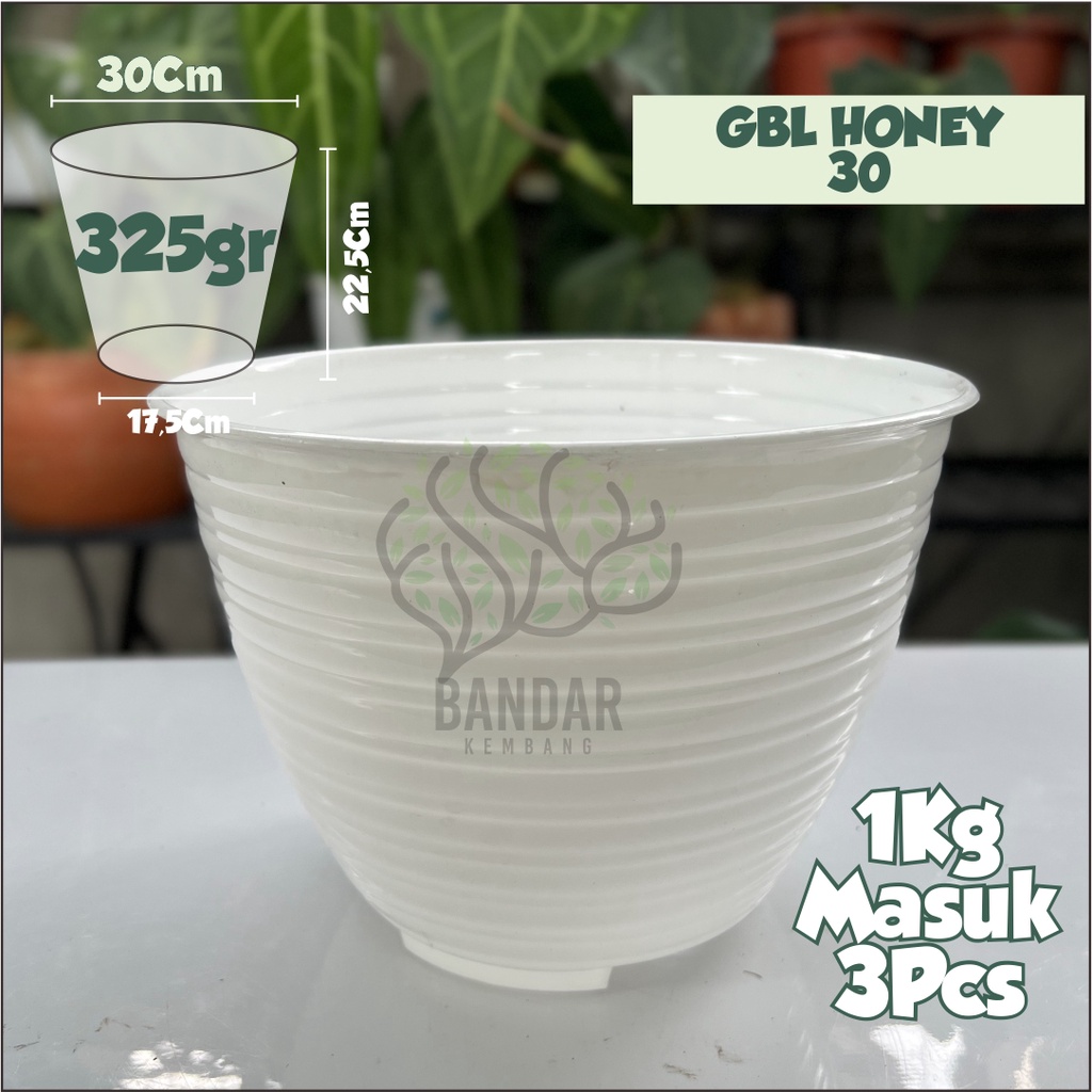 Pot GBL My Honey 30 Warna Putih Lucu  Cocok Untuk Dalam Ruangan