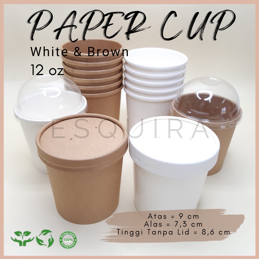 Kraft Paper Cup / Ice Cream Cup + Dome Plastic Lid / Kraft Lid / 10 pcs