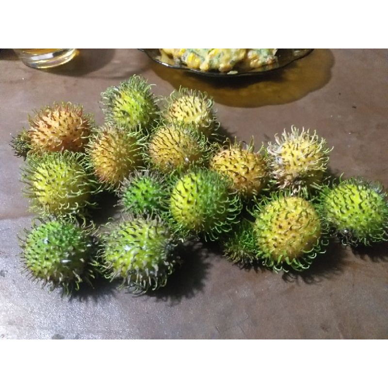 

rambutan rapiah