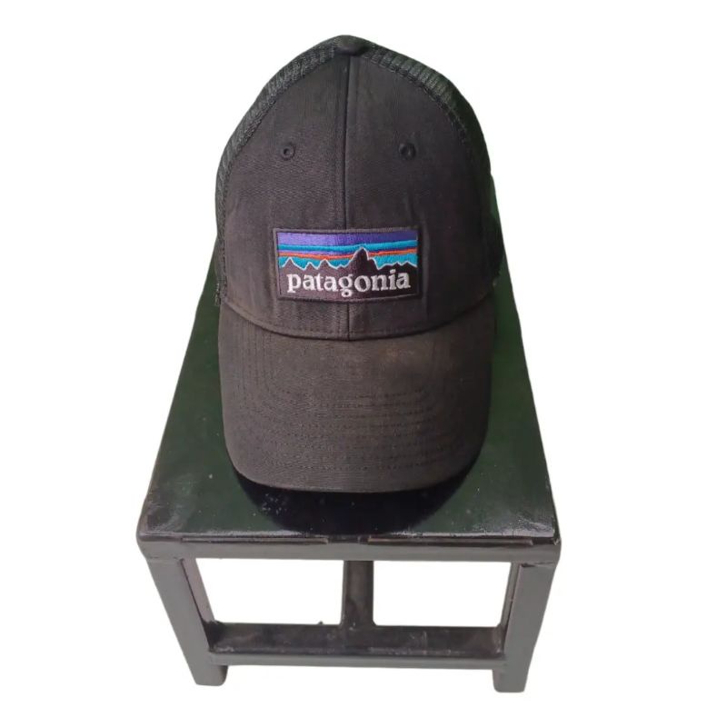 Topi Trucker Patagonia p6-Logo