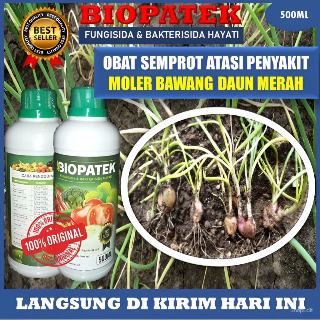 BIOPATEK 500ML PUPUK FUNGISIDA OBAT UNTUK MENGATASI PENYAKIT MOLER BAWANG MERAH