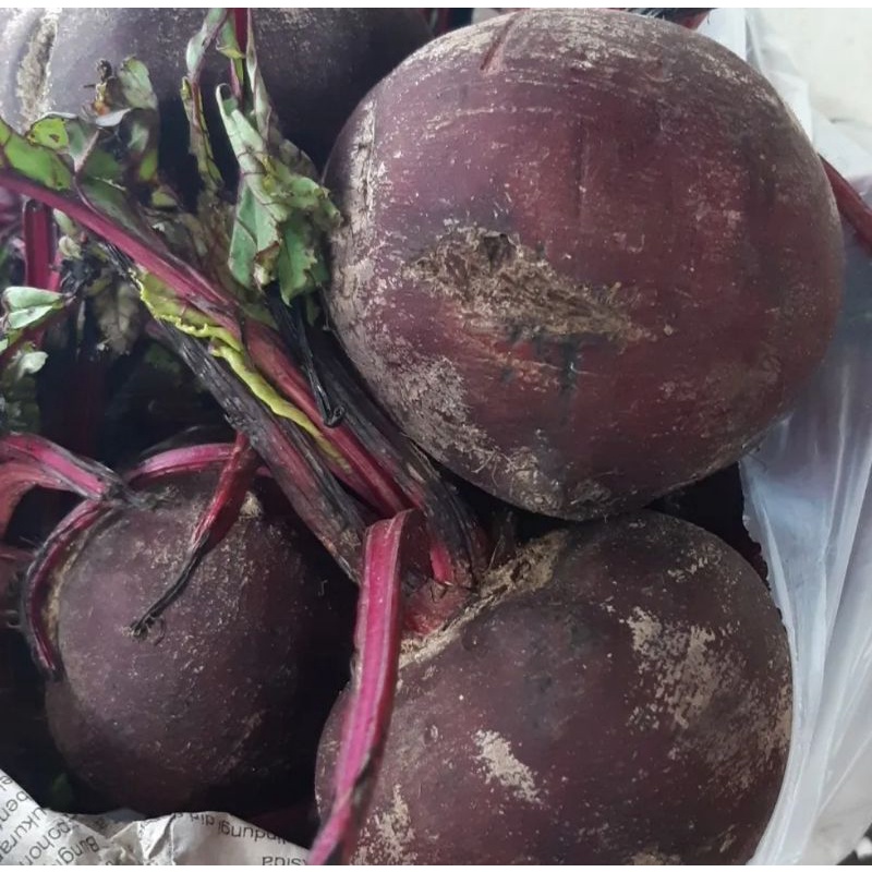 

buah bit merah 1kg