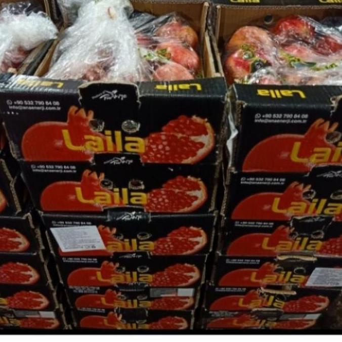 

Miliki Buah Delima Merah Import Mesir Egypt Harga Pergardus Heiyyaluv