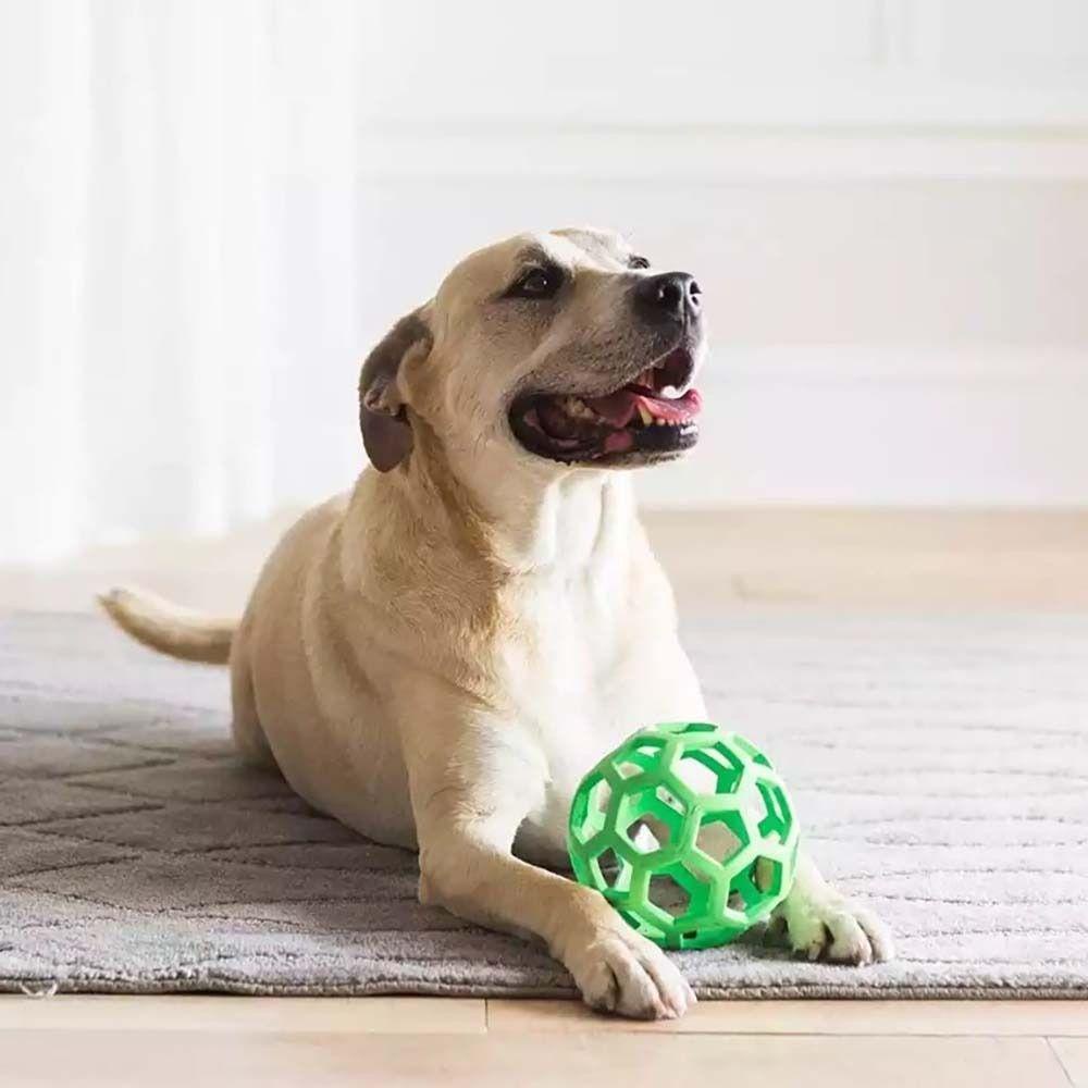 [Elegan] Anjing Mengunyah Mainan Berongga Alami Permainan Anjing Lempar Mainan Anak Anjing Geometris Keselamatan Mainan Pelatihan Hewan Peliharaan