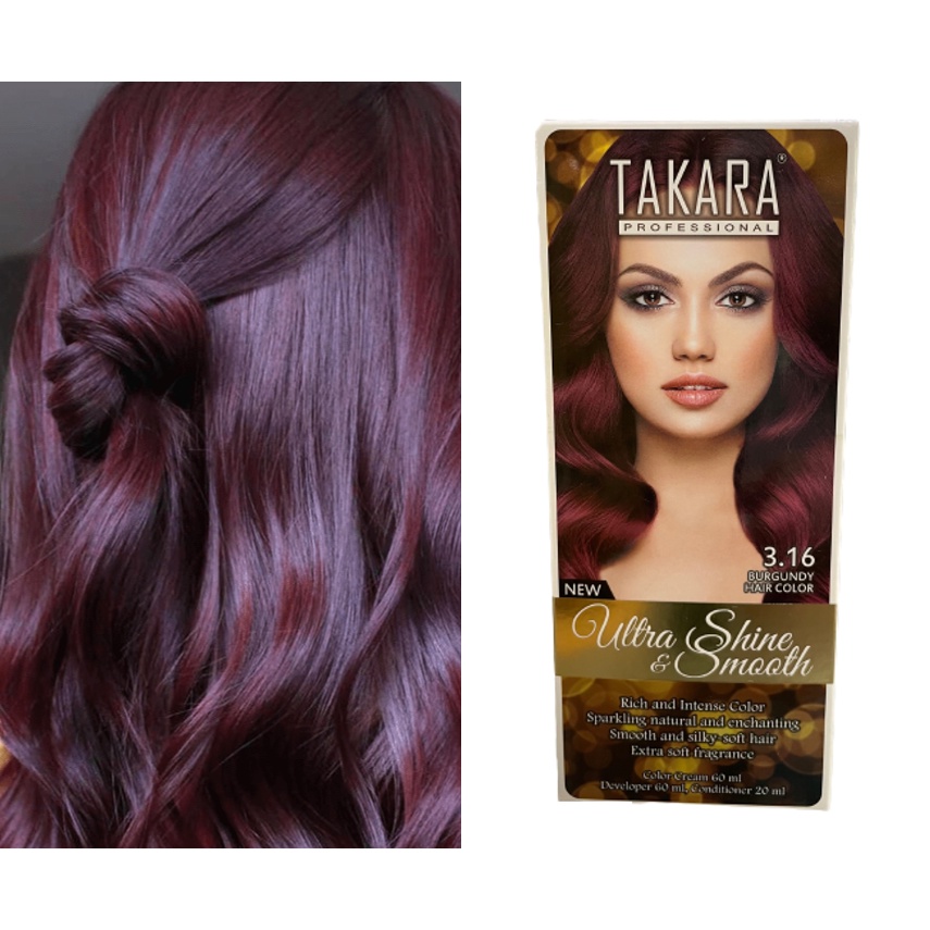 Takara Professional Ultra Shine &amp; Smooth 3.16 Burgundy Hair Color