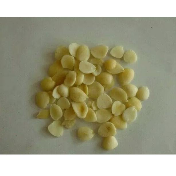 

Ready ` 100 G GR GRAM XING REN 杏仁 APRICOT KERNEL ALMOND SEED SEEDS ☻
