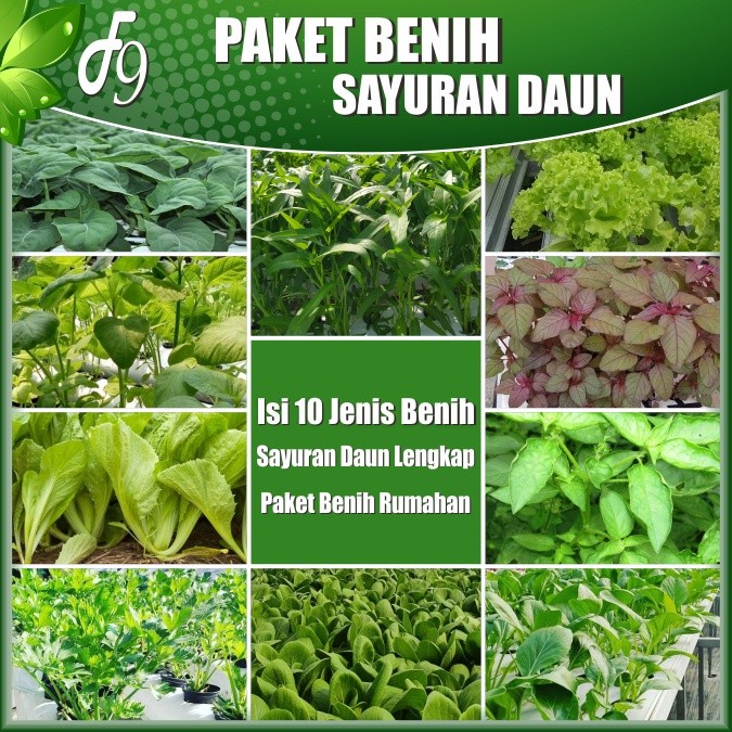 [Bibit] Paket Benih Bibit Sayuran Daun Lengkap 10 Jenis Benih Sayuran