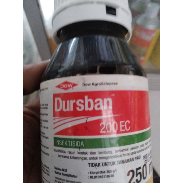 obat pertanian insektisida DURSBAN 250ml