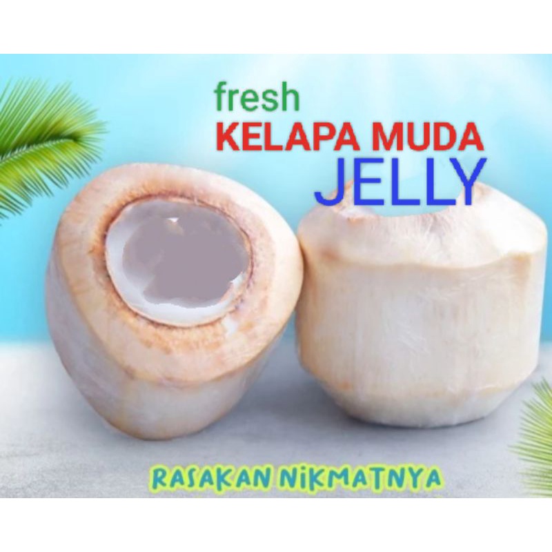KELAPA JELLY BATOK FRESH