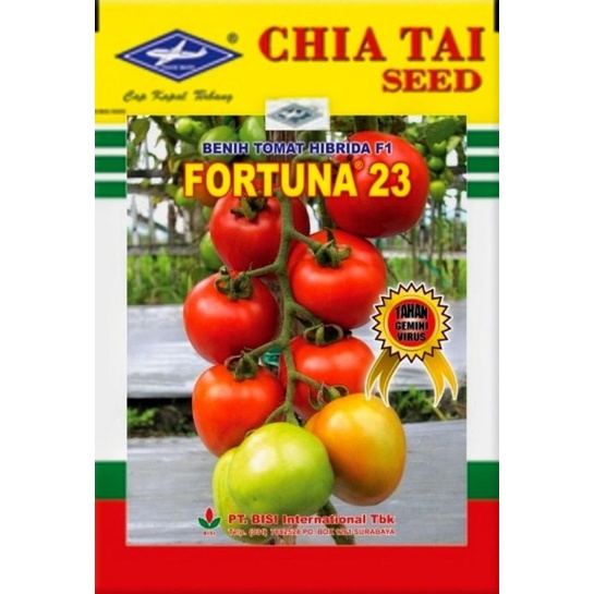 FORTUNA 23 Benih Tomat Hybrida F1 Cap Kapal Terbang Benih Asli Original 100% Kemasan 5 gram