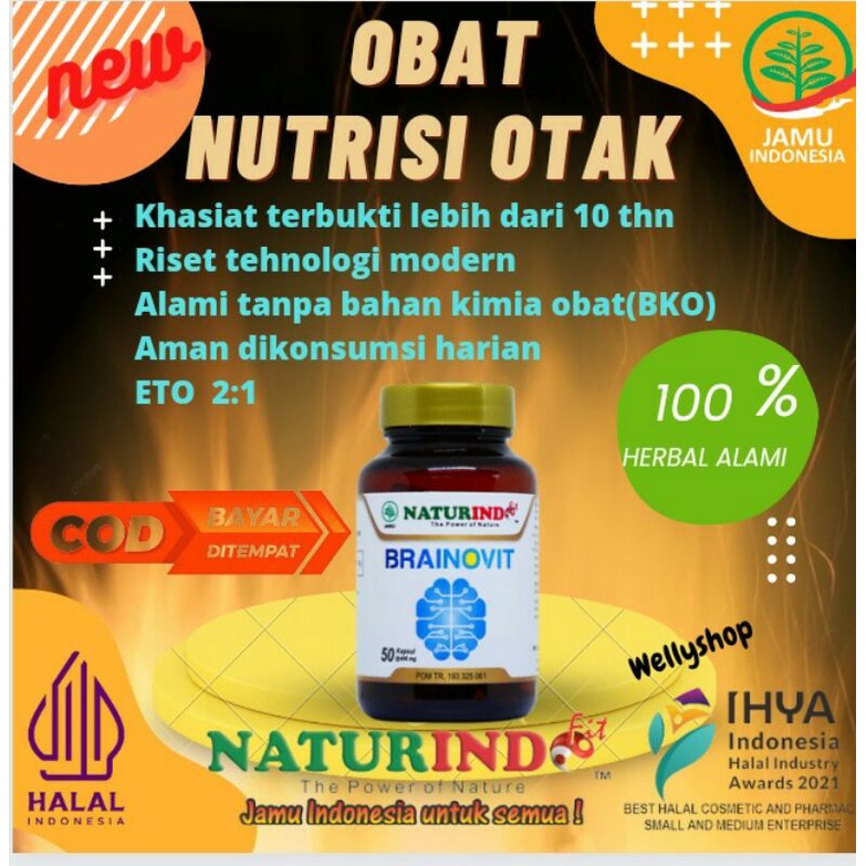 Brainovit Obat Herbal Vitamin Otak Kecerdasan Otak Mencegah Kepikunaan Nutrisi Otak Vitamin Saraf