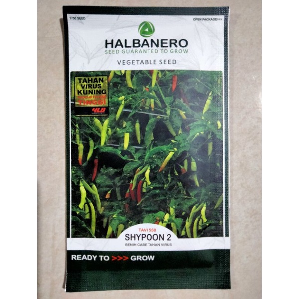 Benih Cabe Rawit SHYPOON 2 kemasan 10 Gram Halbanero - Bibit Cabe Shypoon2 - crm cabai Shypon Shipon