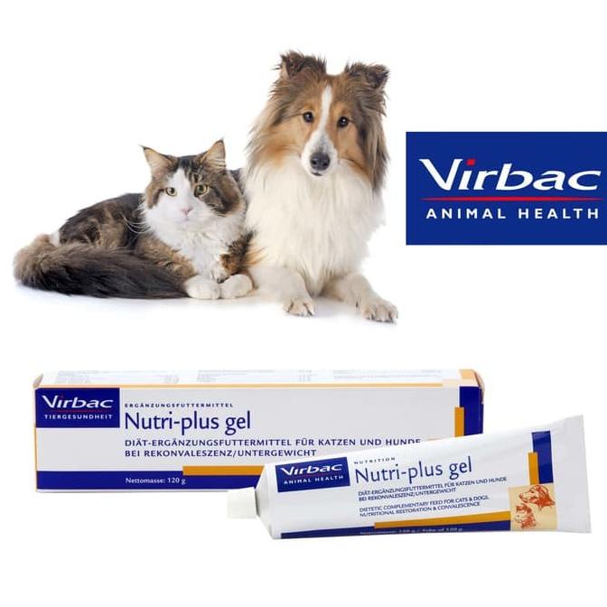 Discount Nutriplus gel 120,5gr nutri plus virbac 120,5 gr vitamin kucing anjing /PERAWATAN KUCING LENGKAP/PERAWATAN KUCING PERSIA/PERAWATAN KUCING KECIL/PERAWATAN KUCING HAMIL