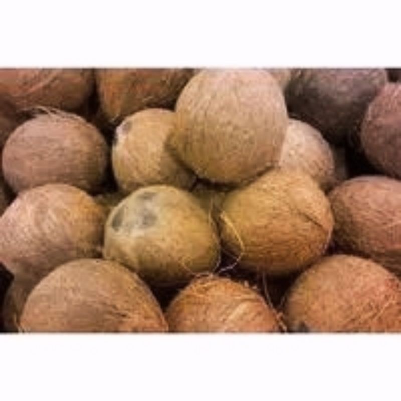 

Kelapa tua 1butir untuk kebutuhan memasak