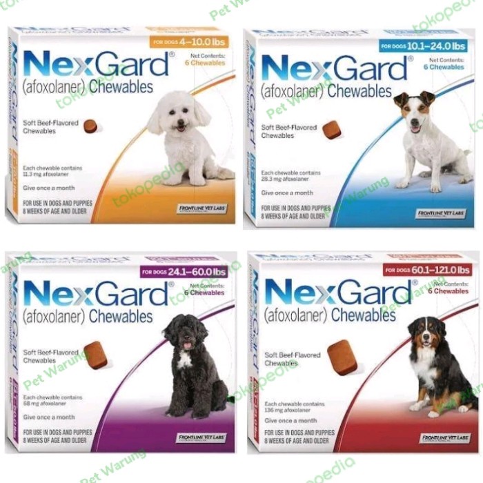 Nexgard Obat Kutu Anjing