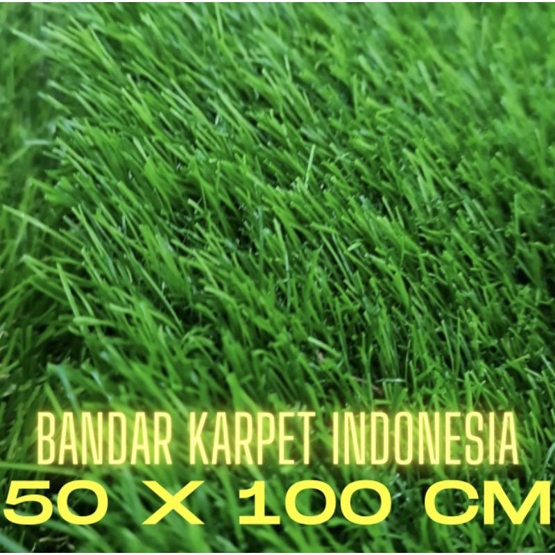 RUMPUT SINTETIS SWISS ukuran 50 x 100 CM