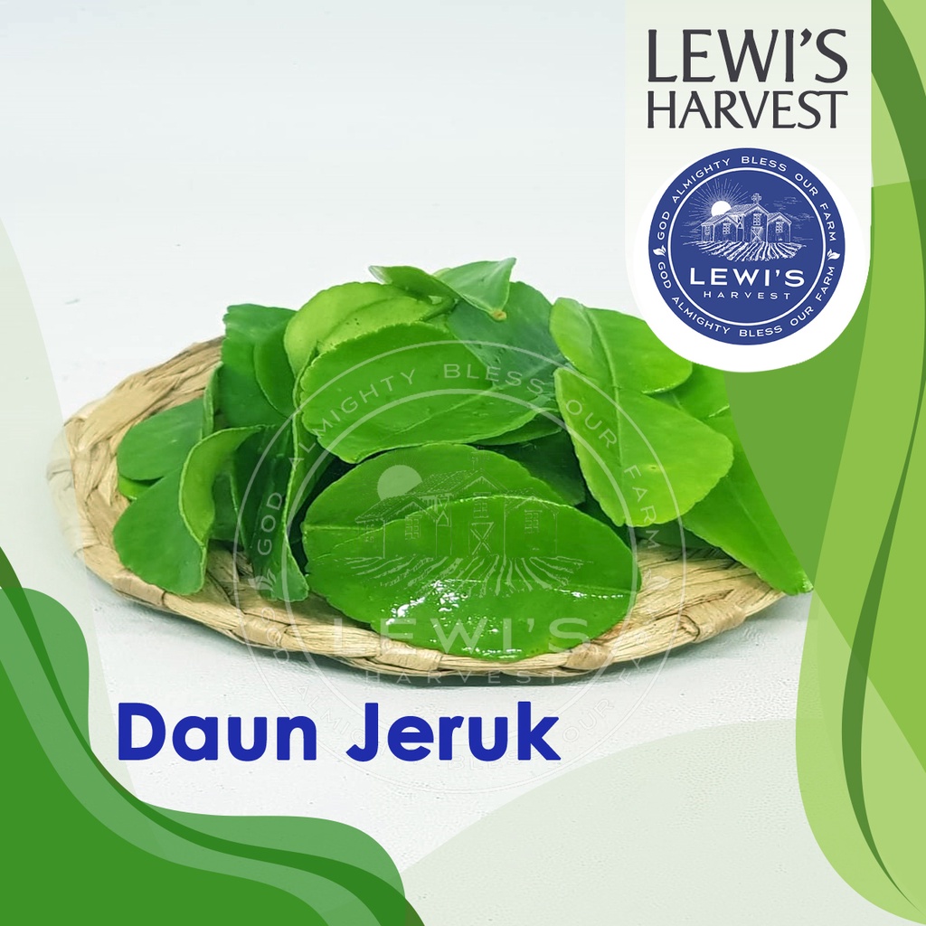 

Daun Jeruk fresh