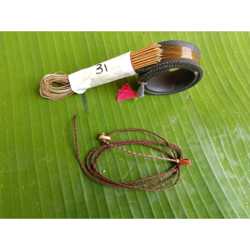 Racik Balam | Jerat Racik Burung Tekukur