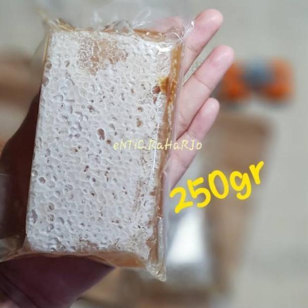 

[PRODUK-B07QL92] [COD] MADU SARANG MURNI HONEYCOMB MELLIFERA CERANA SARANG MADU 250Gr Asli 100% 49