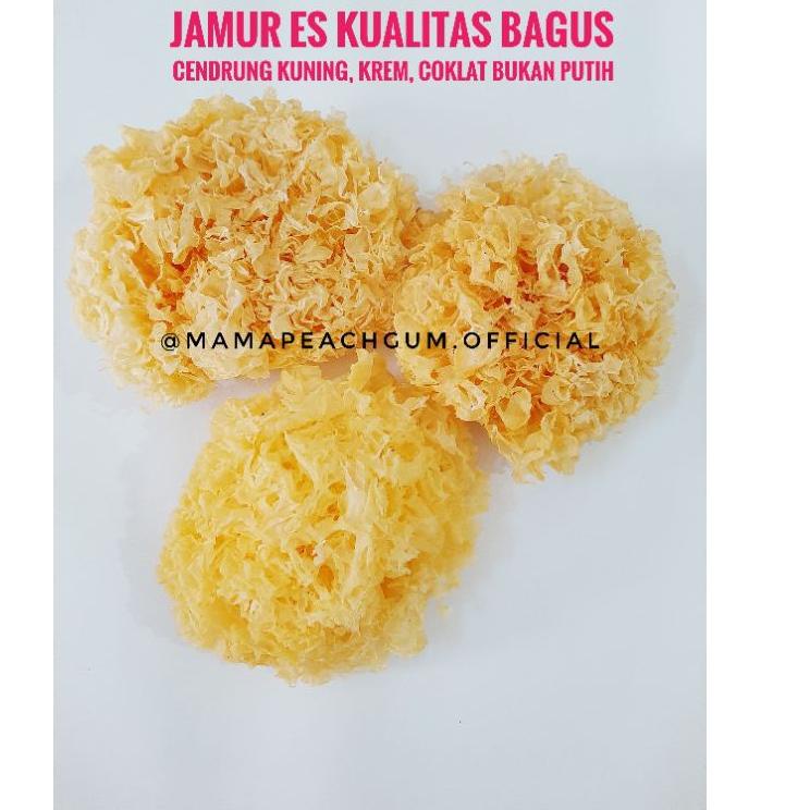 

GROSIR_JAKARTA Jamur Es 15 gr Kualitas Bagus dan lembut / jamur salju / bai mu er / snow fungus