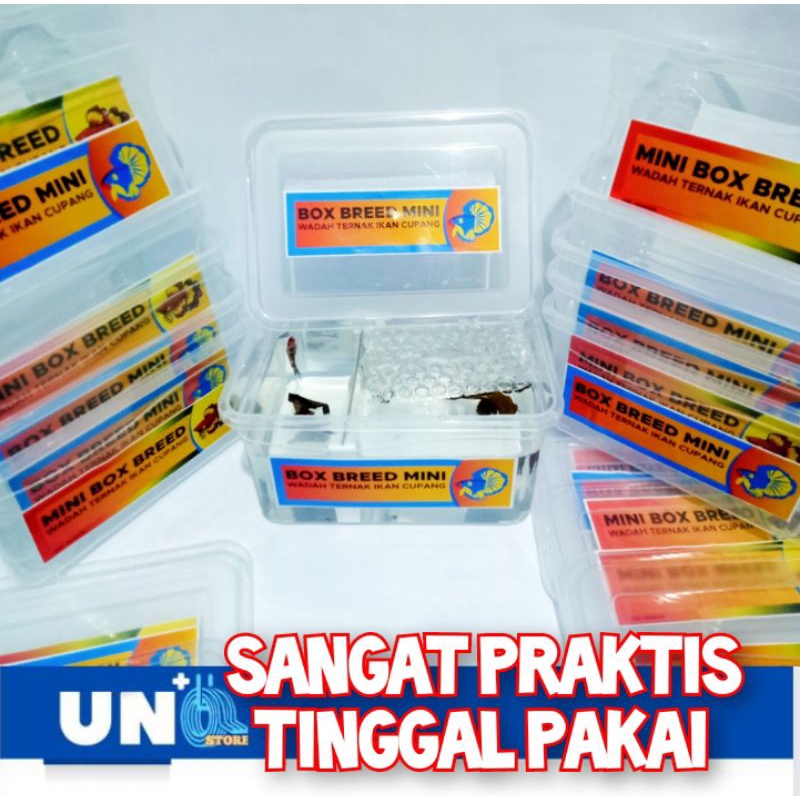 MINI BOX BREED WADAH TERNAK PENJODOHAN IKAN CUPANG