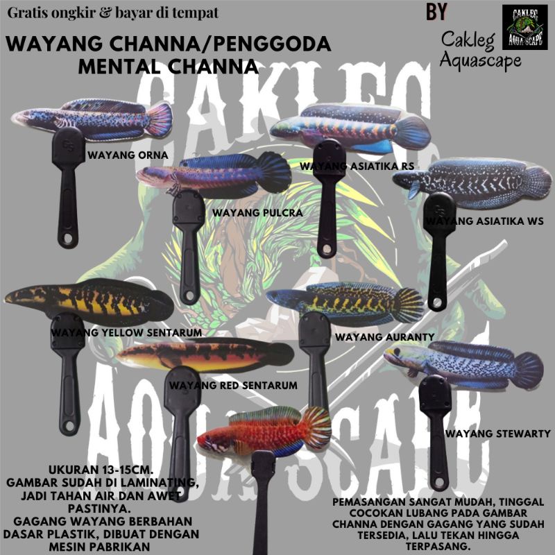 Wayang Iwak Chana/Pemikat Chana/Mental Chana