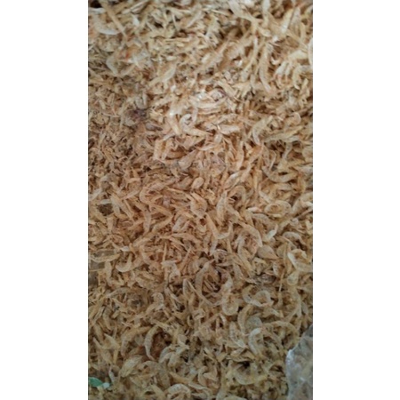 

udang rebon tawar berat 500 gram