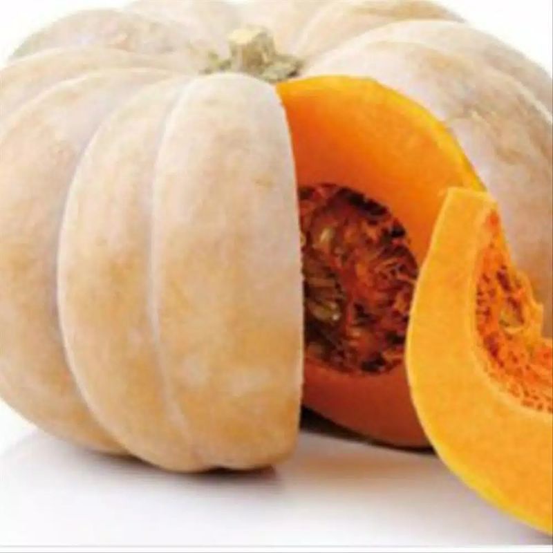 3Biji benih bibit Labu kuning madu