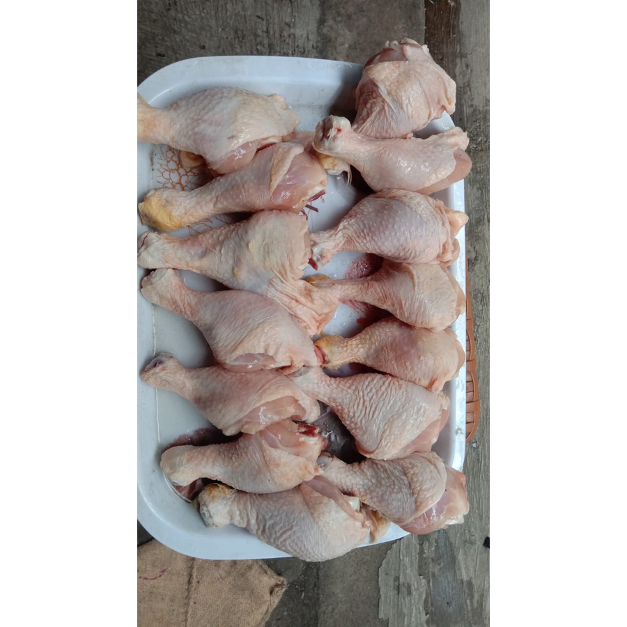 

Paha pentung premium paha pentung segar paha pentung frozen paha ayam