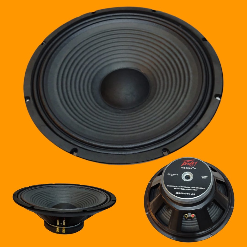 speaker peavey 15 inch pro rider 15 fullrange