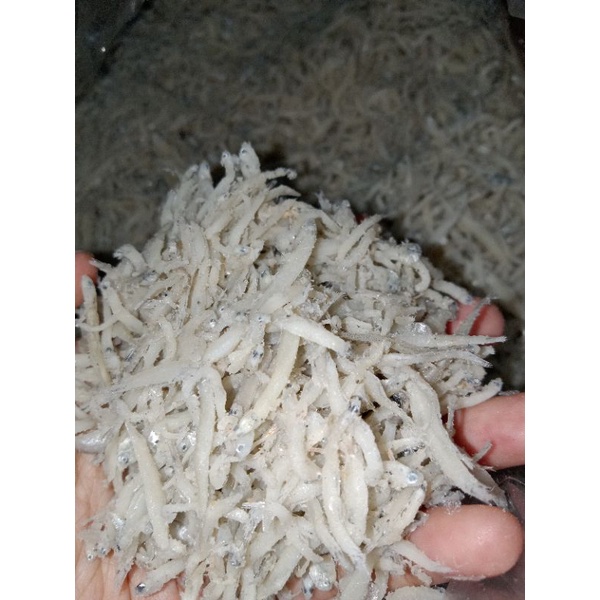 

teri nasi asin 250 gram