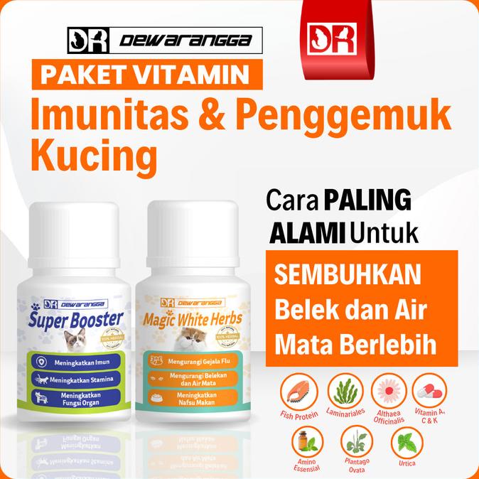 Vitamin Imun Kucing dan Penggemuk Kucing Dewarangga - Imunitas Kucing