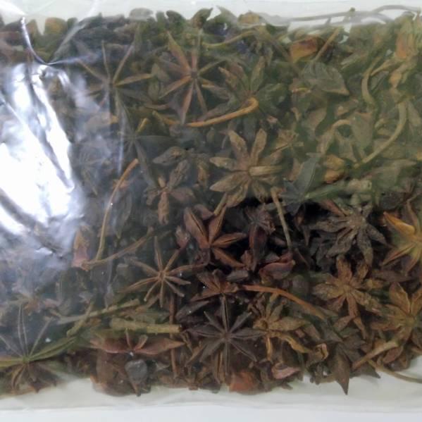 

TERMURAH C878 Pekak 100gr / Bunga Lawang ㅄ