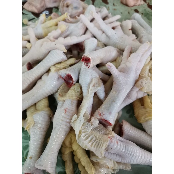 

CEKER AYAM