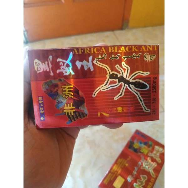 africa black ant kapsul original