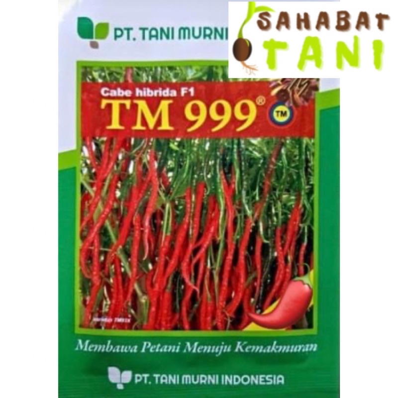 Benih Cabe Keriting TM 999 Repack 25 Biji