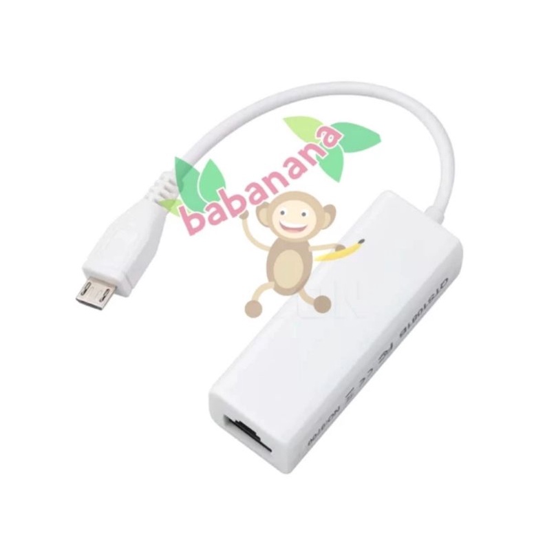 Micro usb type B to Lan RJ45 konektor network konverter laptop