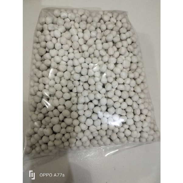 

pil putih sabdo palon kemasan 100gram