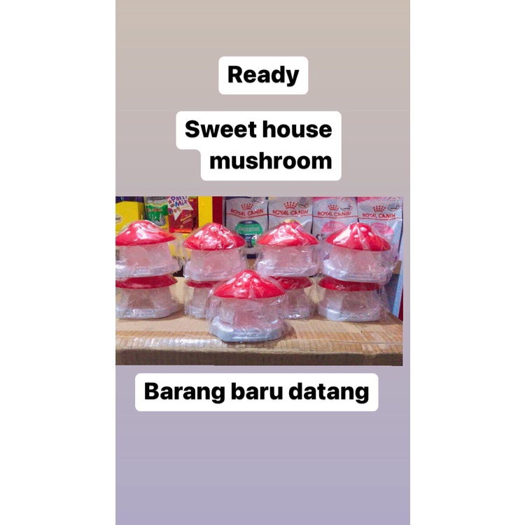 Rumah Hamster Sweet Mushroom