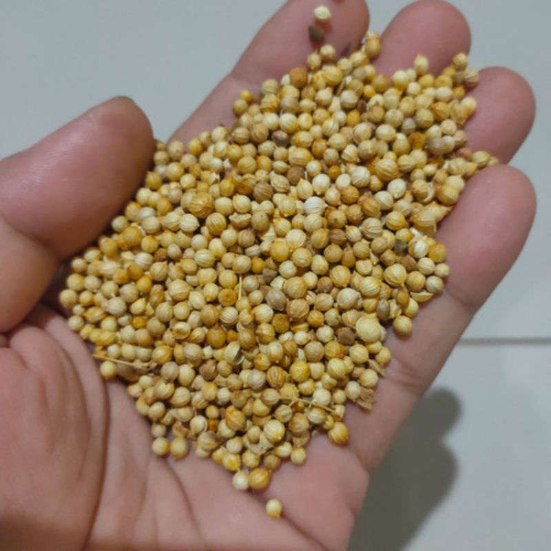 

KETUMBAR/ BUMBU DAPUR KETUMBAR/ KETUMBAR 100 GRAM